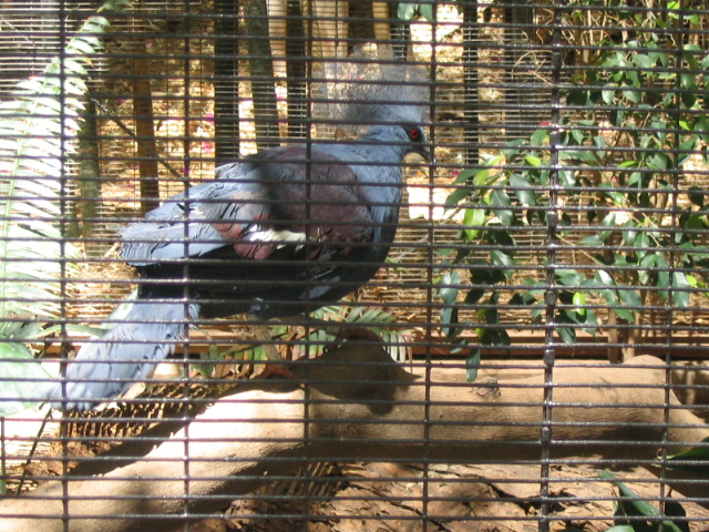 618x457 pixels (261K)